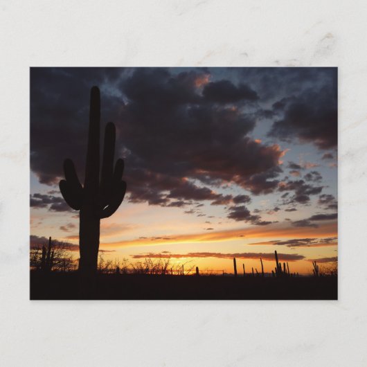 Saguaro Sunset III Arizona Briefkaart (Voorkant)
