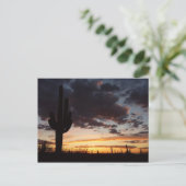 Saguaro Sunset III Arizona Briefkaart (Staand voorkant)