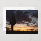 Saguaro Sunset III Arizona Briefkaart (Voorkant / Achterkant)