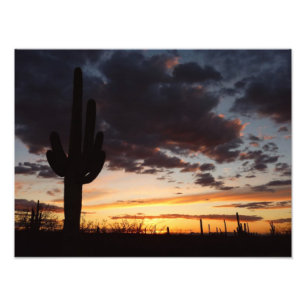 Saguaro Sunset III Arizona Foto Afdruk