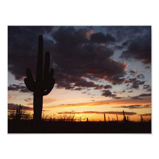 Saguaro Sunset III Arizona Foto Afdruk (Voorkant)