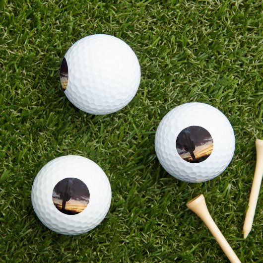 Saguaro Sunset III Arizona Golfballen (Insitu Gras)