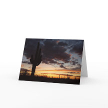 Saguaro Sunset III Arizona