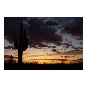 Saguaro Sunset III Arizona Perfect Poster