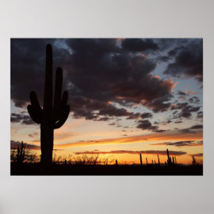 Saguaro Sunset III Arizona Poster