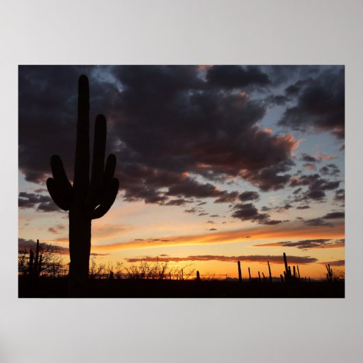 Saguaro Sunset III Arizona Poster (Voorkant)