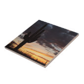 Saguaro Sunset III Arizona Tegeltje (Zijkant)