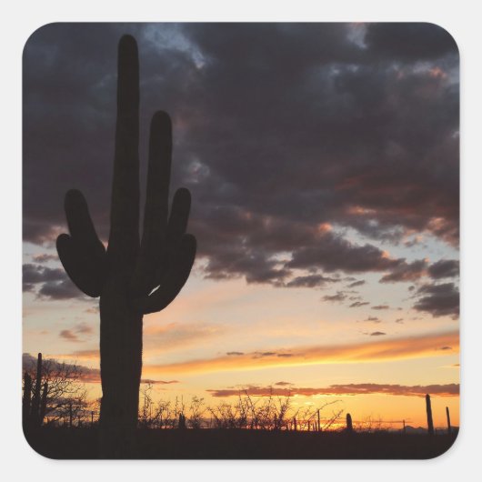 Saguaro Sunset III Arizona Vierkante Sticker (Voorkant)