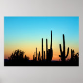 Saguaro Sunset Poster (Voorkant)