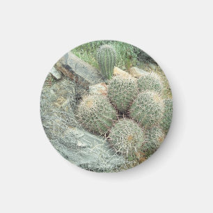 Saguaro Swirl Cactus Magneet