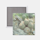 Saguaro Swirl Cactus Magneet (Voorkant / Achterkant)