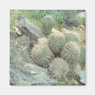 Saguaro Swirl Cactus Magneet