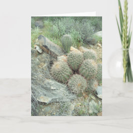Saguaro Swirl Wenskaart Kaart
