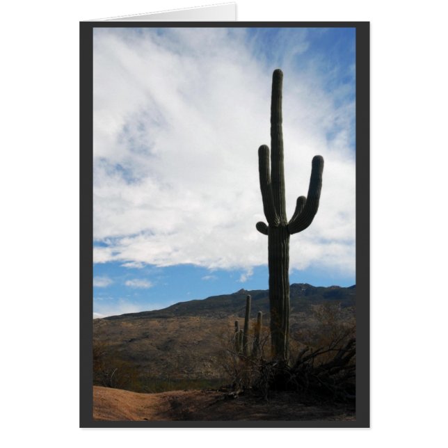 "Saguaro Vista" (Voorkant)