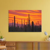 Saguaro, zonsondergang, Nationaal Park Saguaro Canvas Afdruk (Insitu (Woonkamer))