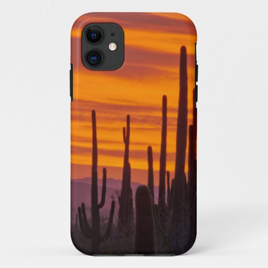 Saguaro, zonsondergang, Nationaal Park Saguaro Case-Mate iPhone Case (Achterkant)
