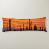 Saguaro, zonsondergang, Nationaal Park Saguaro Lichaamskussen (Achterkant)