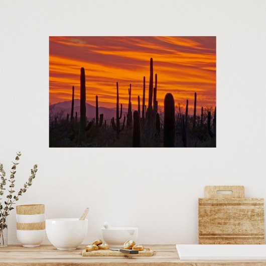 Saguaro, zonsondergang, Nationaal Park Saguaro Poster (Keuken)