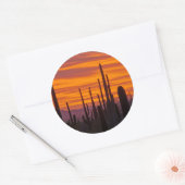 Saguaro, zonsondergang, Nationaal Park Saguaro Ronde Sticker (Envelop)