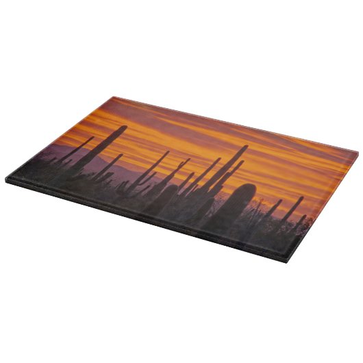 Saguaro, zonsondergang, Nationaal Park Saguaro Snijplank (Hoek)