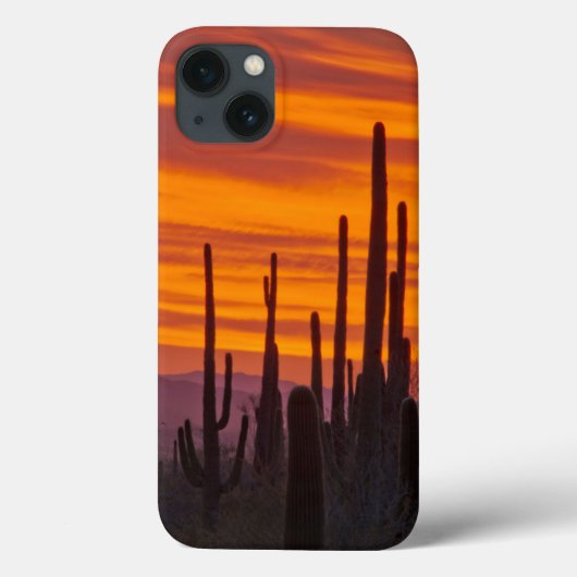 Saguaro, zonsondergang, Saguaro National Park Case-Mate iPhone Case (Achterkant)