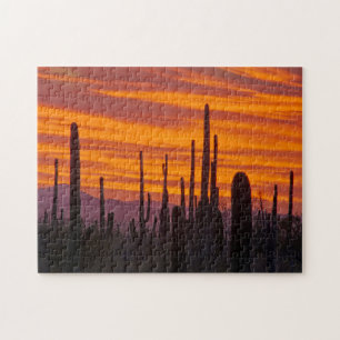 Saguaro, zonsondergang, Saguaro National Park Legpuzzel