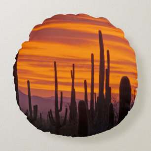 Saguaro, zonsondergang, Saguaro National Park Rond Kussen