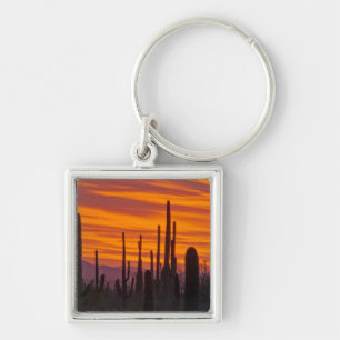 Saguaro, zonsondergang, Saguaro National Park Sleutelhanger