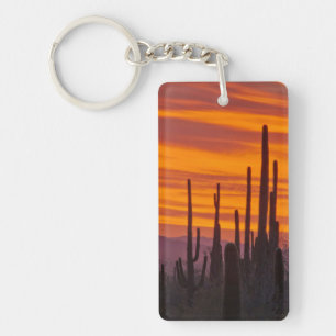 Saguaro, zonsondergang, Saguaro National Park Sleutelhanger