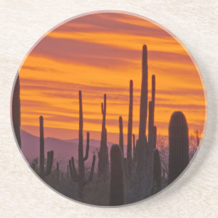 Saguaro, zonsondergang, Saguaro National Park Zandsteen Onderzetter