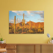 Saguarocactus bij zonsondergang, Arizona Canvas Afdruk (Insitu (Woonkamer))