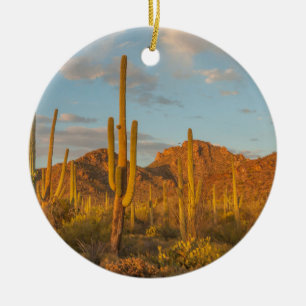 Saguarocactus bij zonsondergang, Arizona Keramisch Ornament