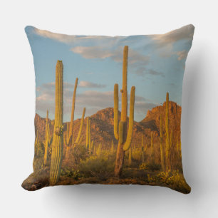 Saguarocactus bij zonsondergang, Arizona Kussen