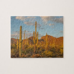 Saguarocactus bij zonsondergang, Arizona Legpuzzel