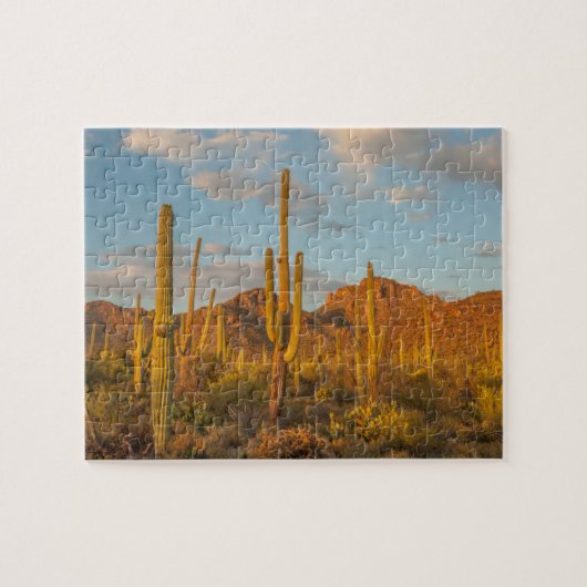 Saguarocactus bij zonsondergang, Arizona Legpuzzel (Horizontaal)