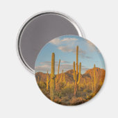 Saguarocactus bij zonsondergang, Arizona Magneet (Voorkant / Achterkant)
