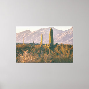 Saguaros Canvas Afdruk