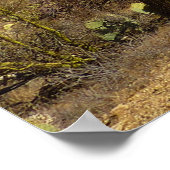 Saguaro's carillo-spoor in het natuurpark Saguaro Poster (Hoek)