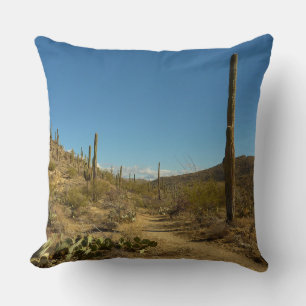Saguaro's Carillo Trail in Saguaro National Park Kussen