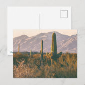 Saguaros Nationaal Park Landschap Briefkaart (Voorkant / Achterkant)