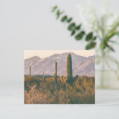 Saguaros Nationaal Park Landschap Briefkaart (Staand voorkant)