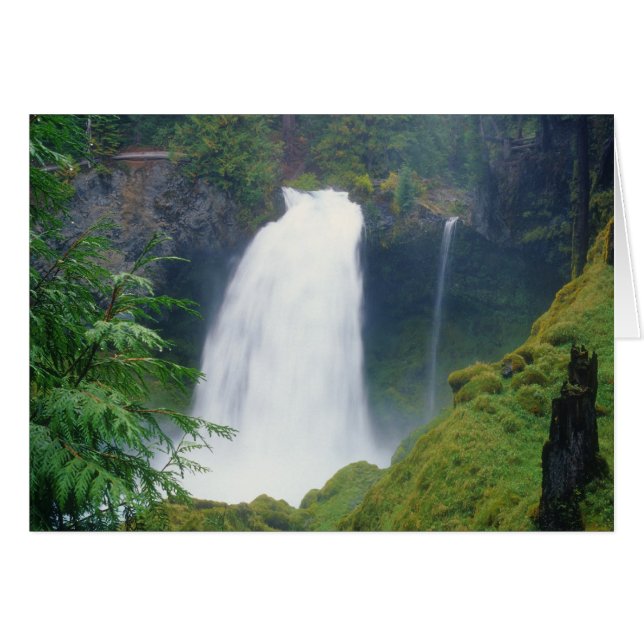 Sahalie Herfsten (Voorkant Horizontaal)