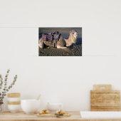 Sahara bij Merzouga, Marokko Poster (Keuken)
