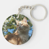 Sahara-kat in een Sleutelhanger (Achterkant)