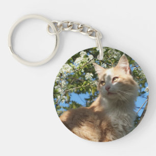 Sahara-kat in een Sleutelhanger