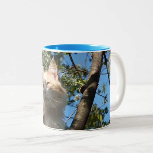 Sahara-kattenomslag rond Mok (Voorkant rechts)