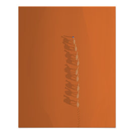 Sahara Marokko | Illustratie antenne Foto Afdruk