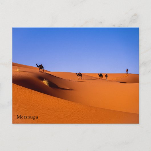 Sahara Merzouga in het vroege ochtend Briefkaart (Voorkant)