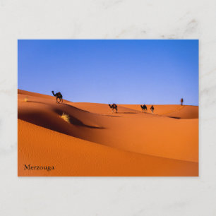 Sahara Merzouga in het vroege ochtendBriefkaart Briefkaart