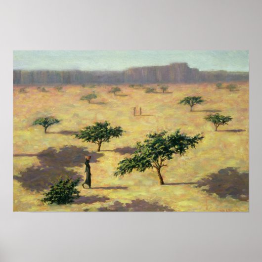 Sahelian Landscape Mali 1991 Poster (Voorkant)